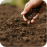 Gardening soil