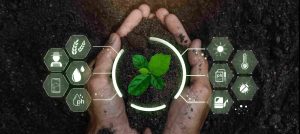 8 Steps To Create An Impactful Sustainability Report