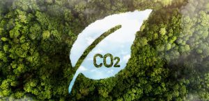 How to Use Your Carbon Ledger to Achieve Sustainability Goals