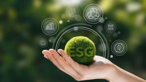 BRSR 9 Principles: Exploring the Foundations of Accountability