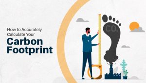 How to Accurately Calculate Your Carbon Footprint