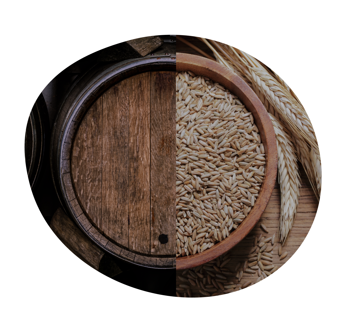 ESG Capacity Building ESG Capacity Building