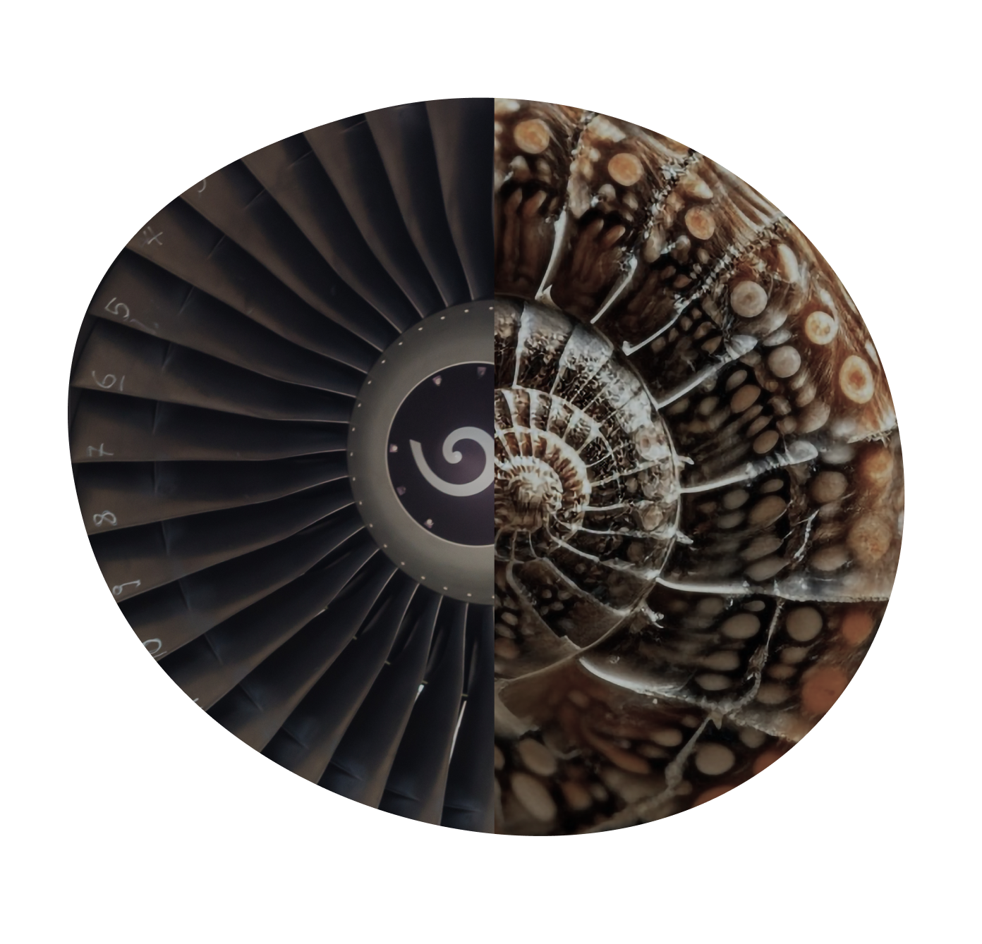 Partner with Snowkap Partner with Snowkap