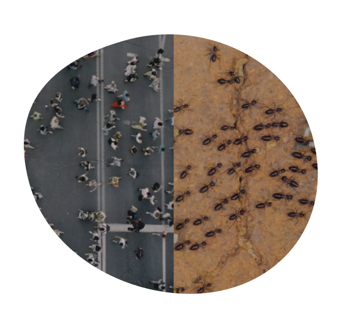 Leading the Net Zero Shift One Customer at a Time